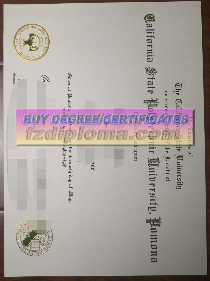 Is It Possible to Buy a Fake Replica Cal Poly Pomona Diploma?