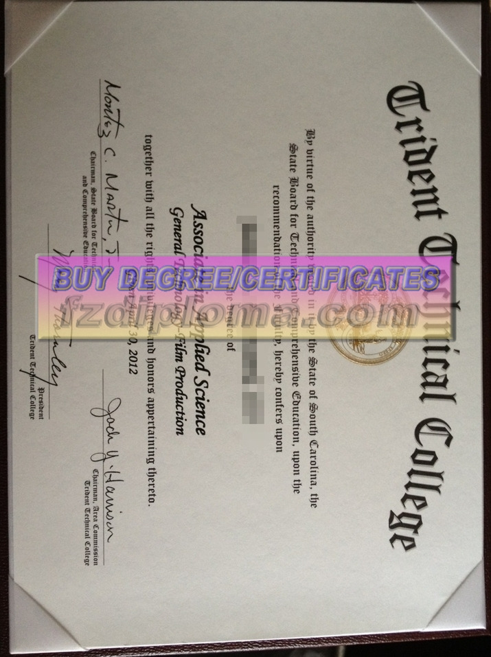 The Steps to Buy a Fake Trident Technical College Diploma: A Comprehensive Guide