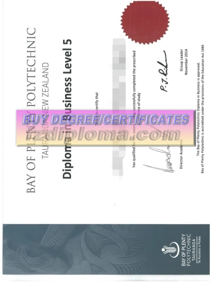 Is It Possible to Buy a Fake Bay of Plenty Polytechnic Degree?