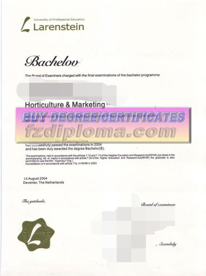 Searching for "Purchase Fake Vocational University Degree": Navigating Through User Intentions