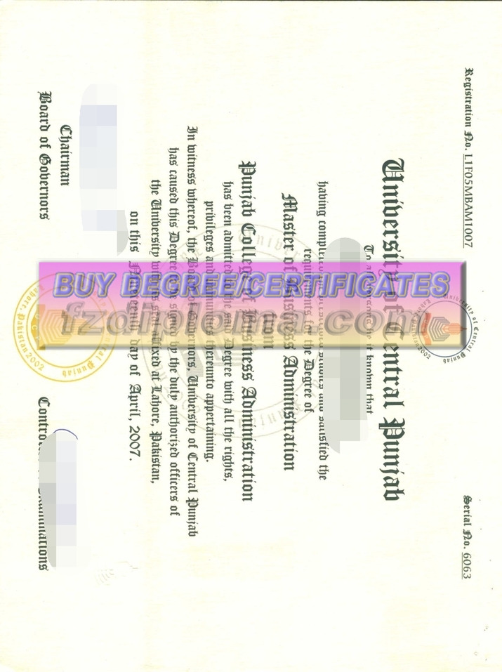 Purchasing a Phony University of the Punjab Diploma: Navigating User Intentions